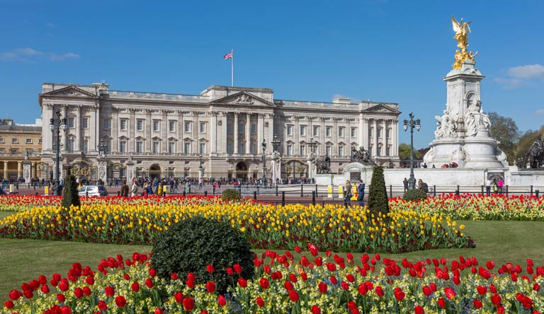 buckingham-palace-from-gardens-london-england